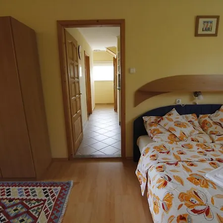 Beautiful With Garden バラトンセペズド